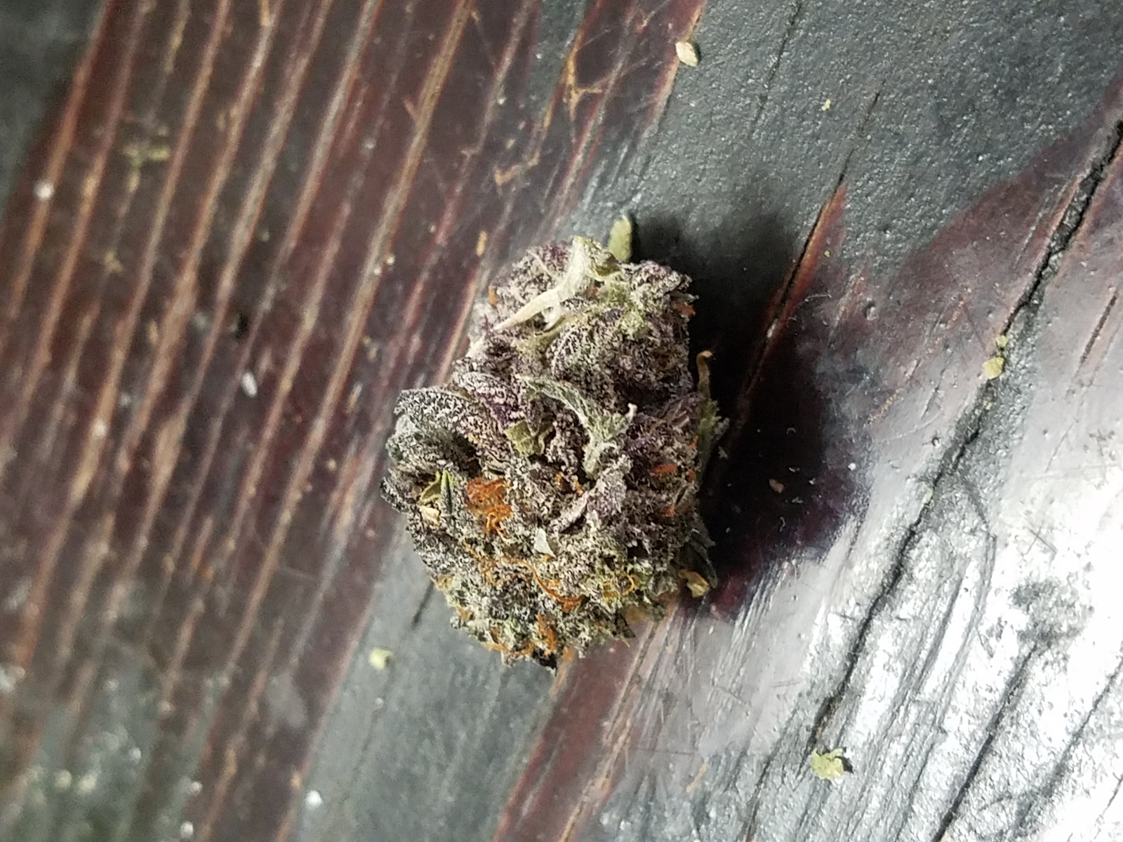 Purple Alien OG