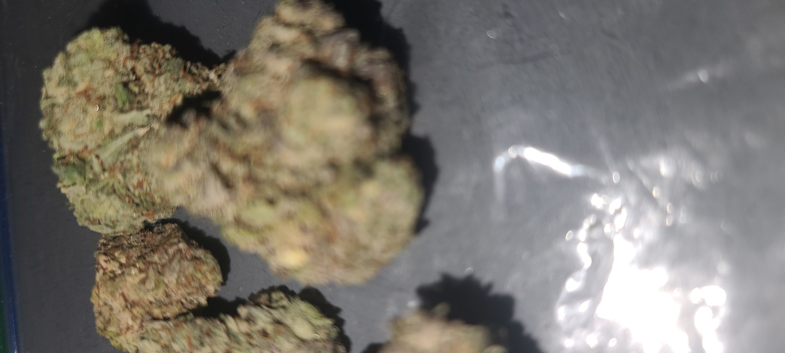 Purple Bubblegum