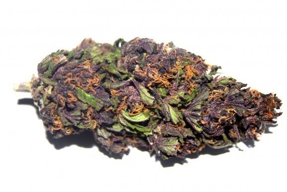 Purple Buddha