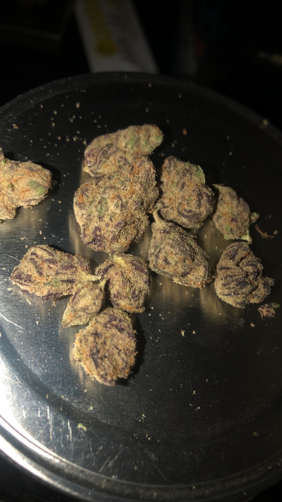 Purple Cat Piss