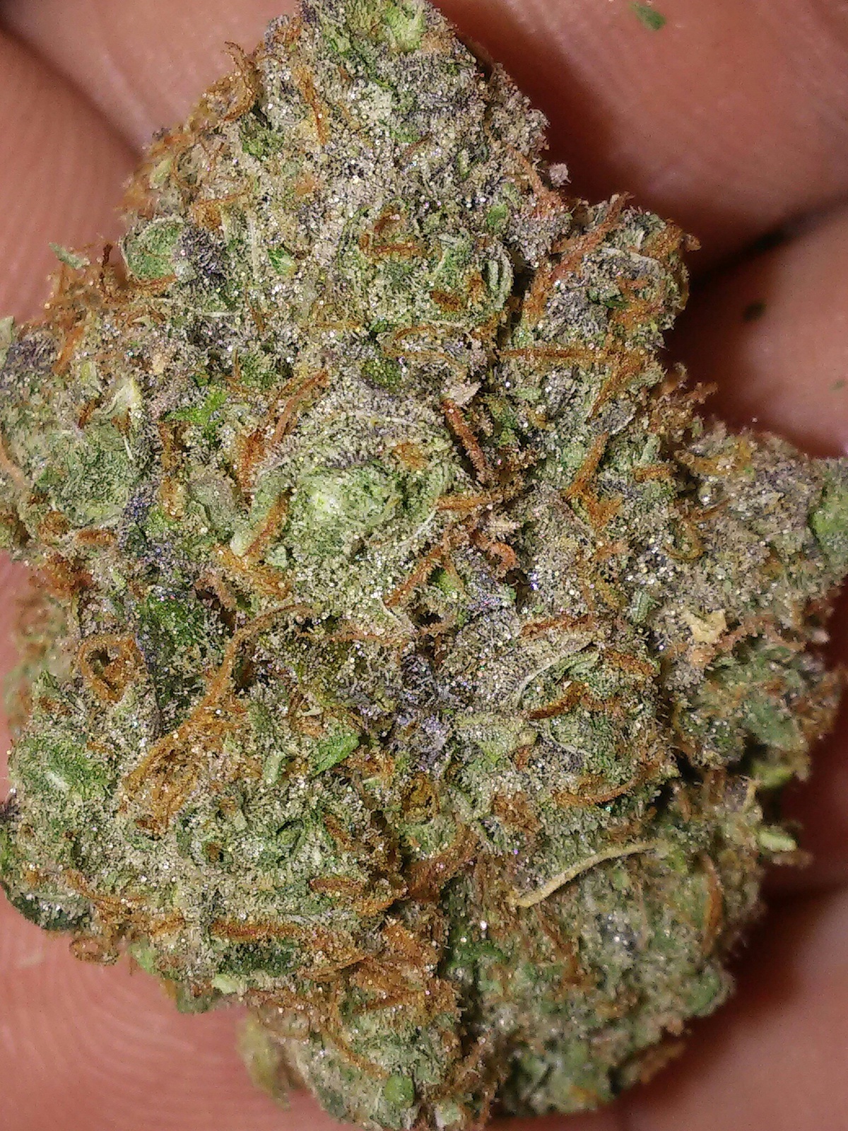 purple champagne