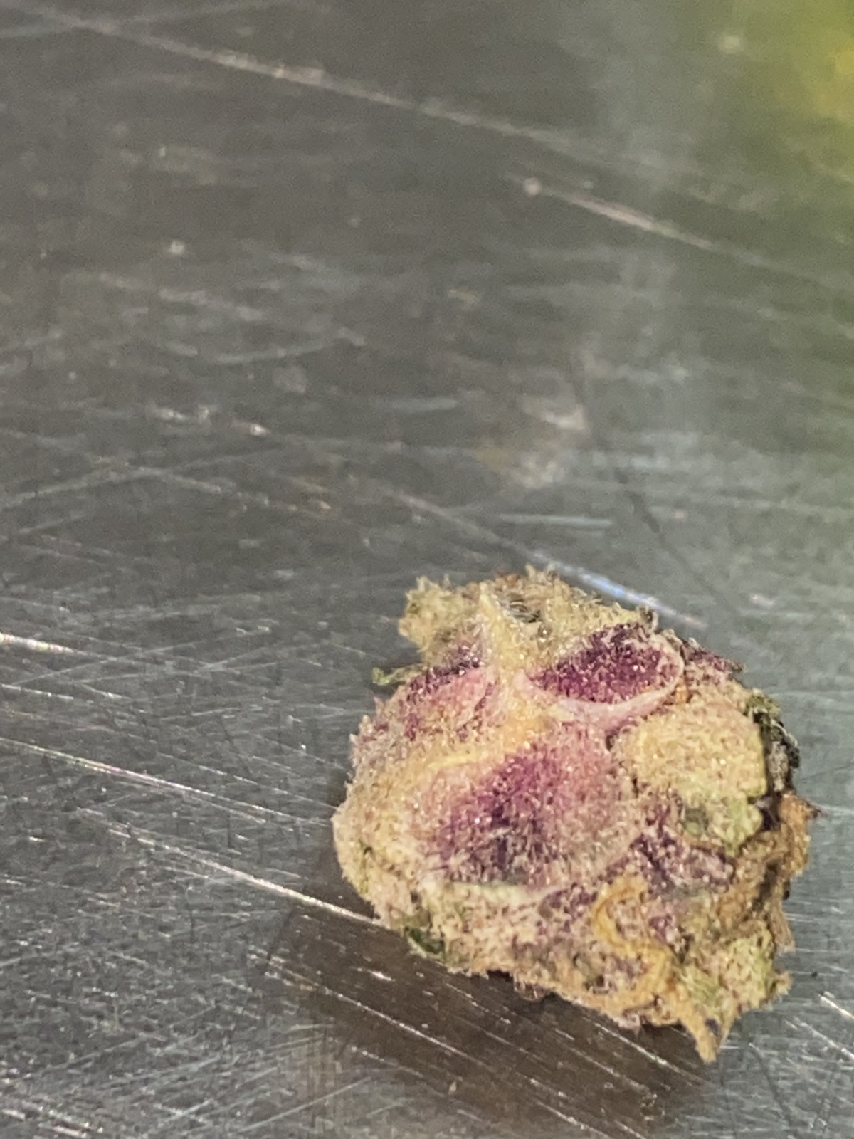Purple Cherry Popper