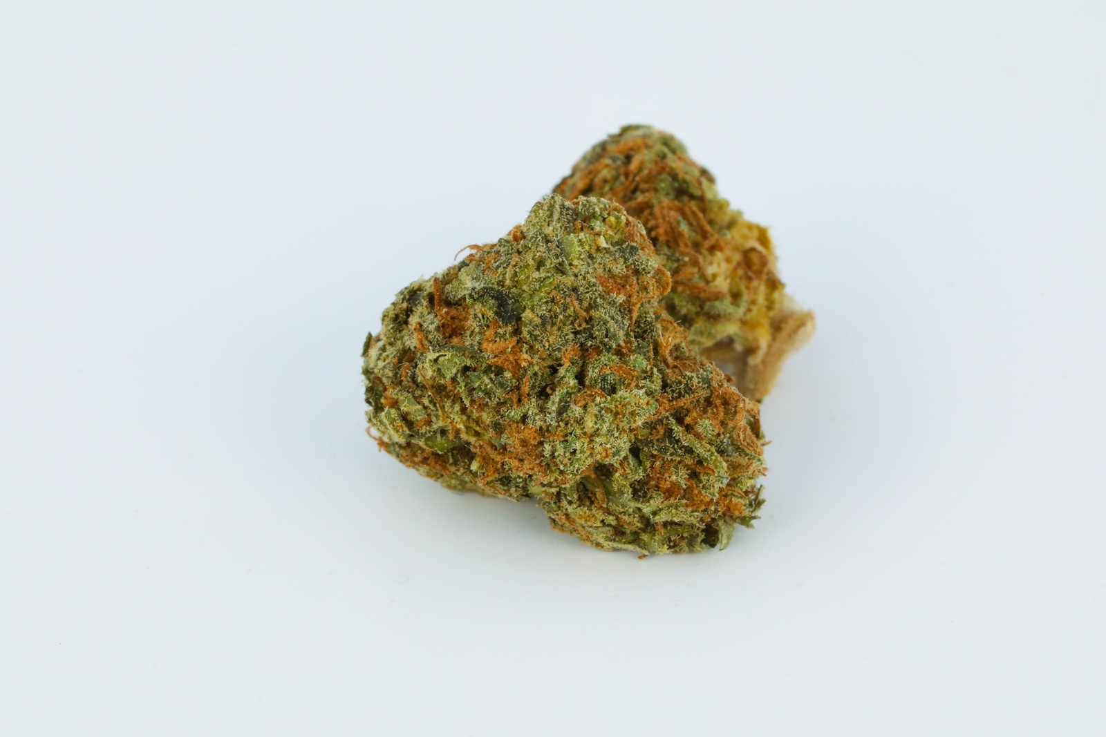 Purple Dawg