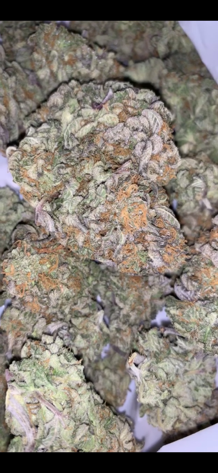 Purple Heart