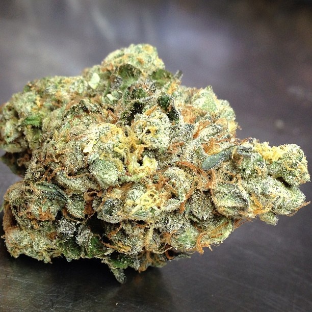 Purple Jack