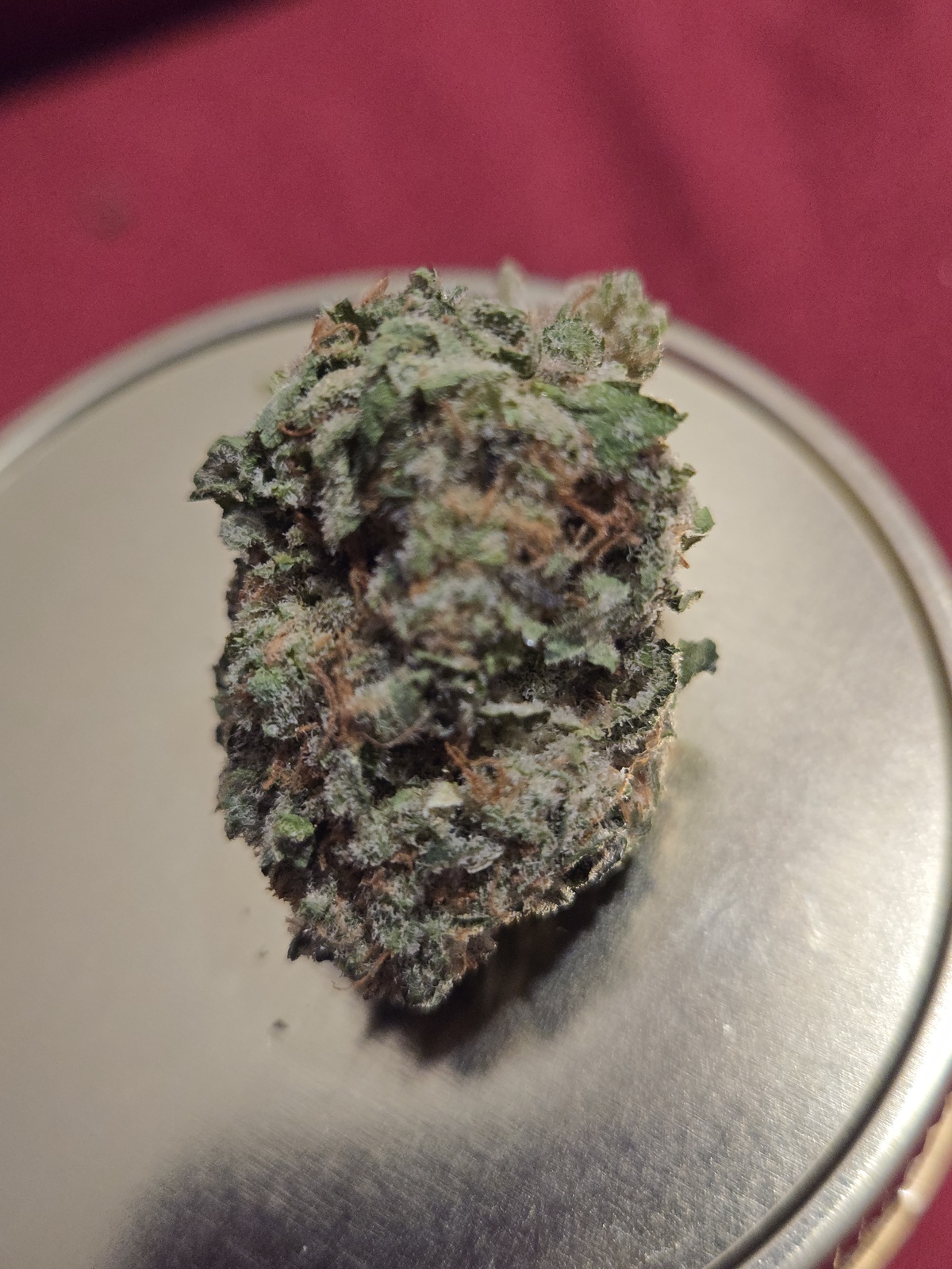 Purple Lambo