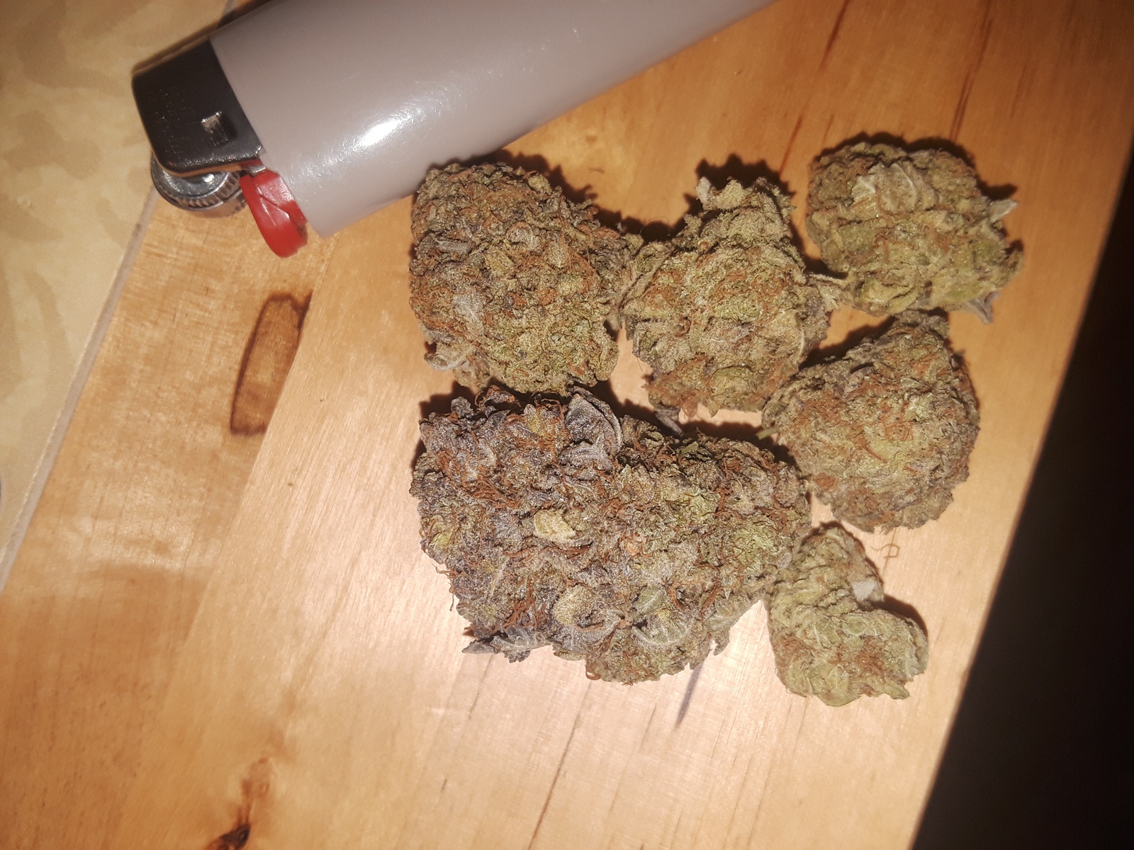 Purple lavender