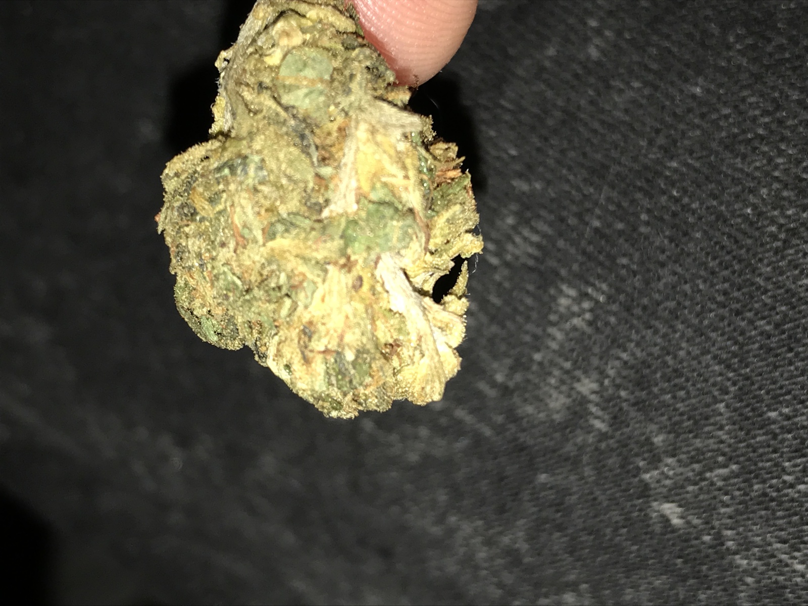 Purple Lemon Haze