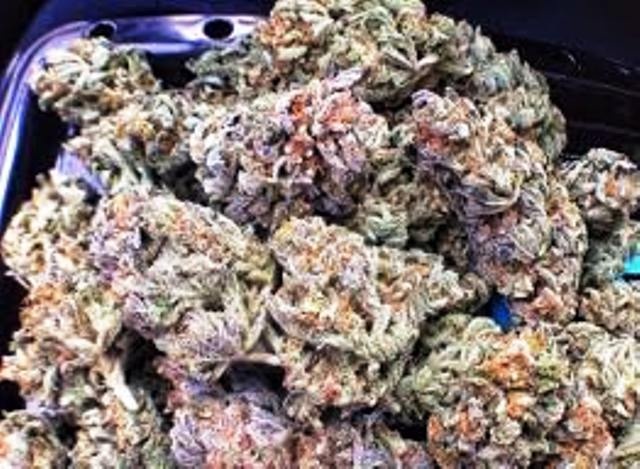 Purple Martian Kush
