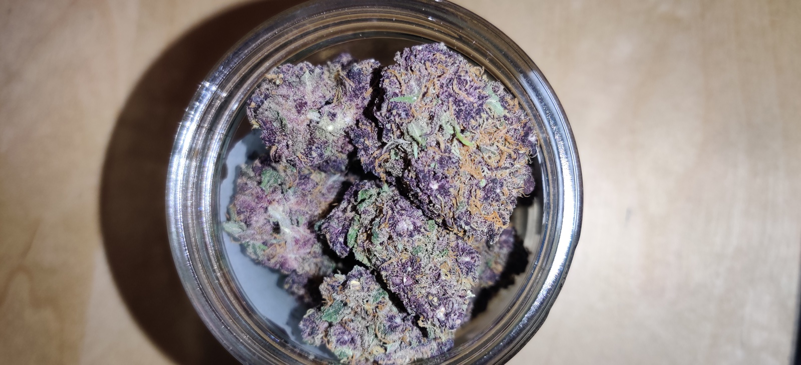 Purple Persuasion