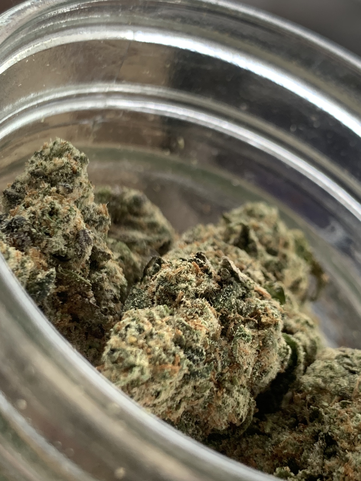 purple pineapple