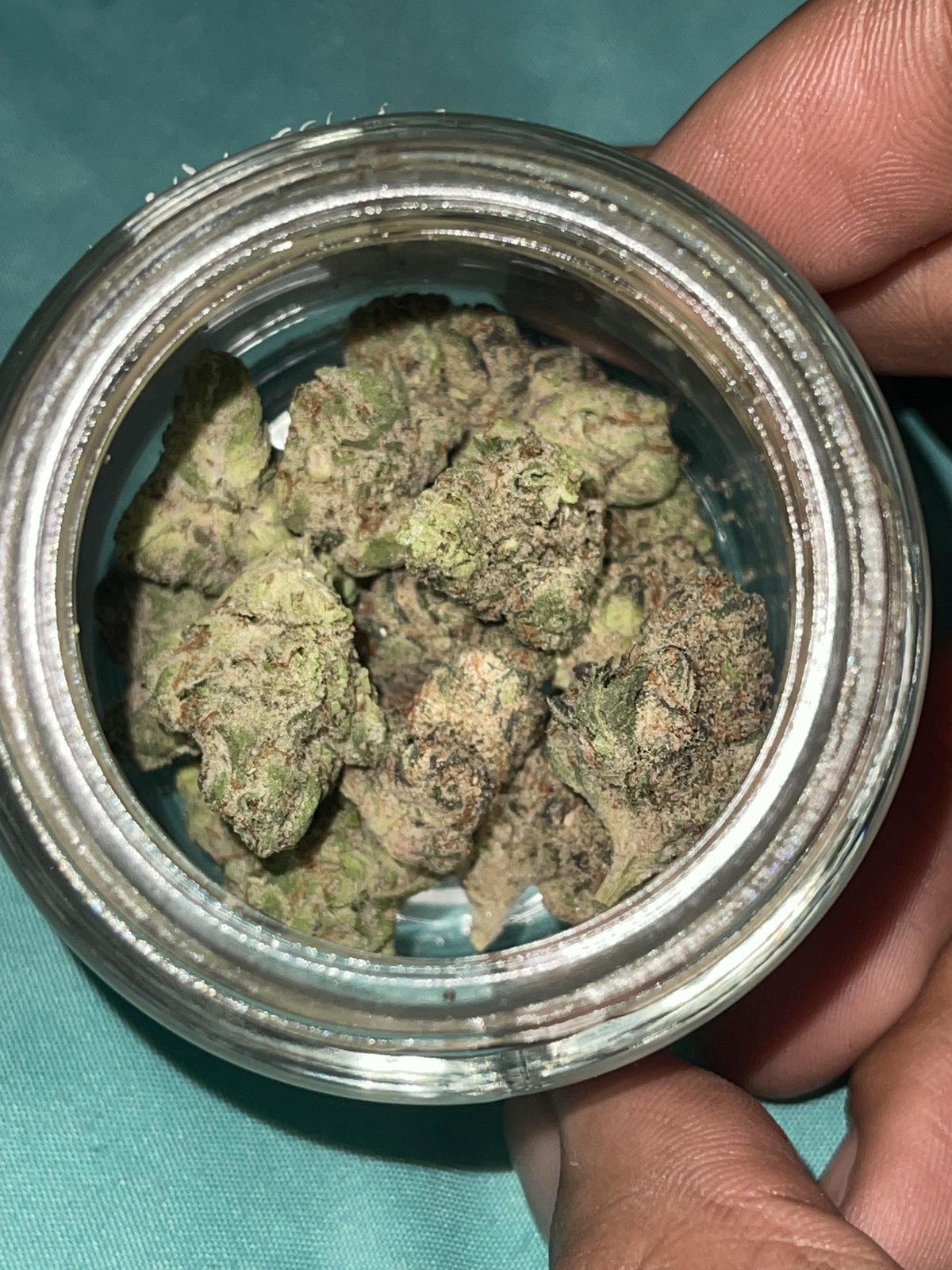 Purple Pinner