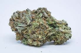 Purple Punchsicle