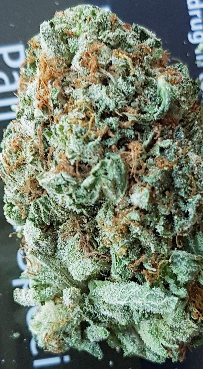 Purple Rockstar Kush
