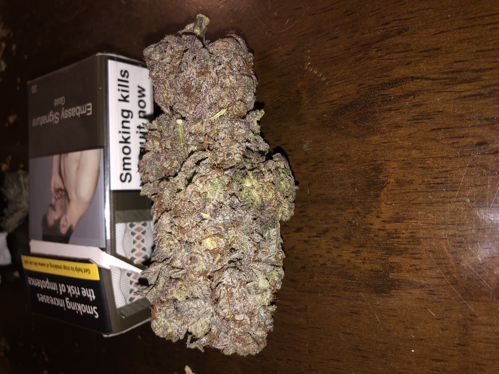 Purple Stardawg
