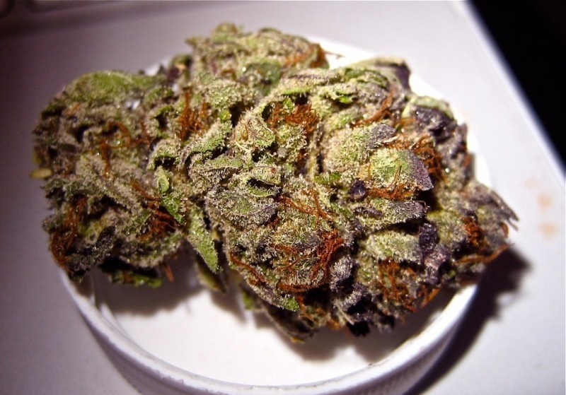 Purple Tonic