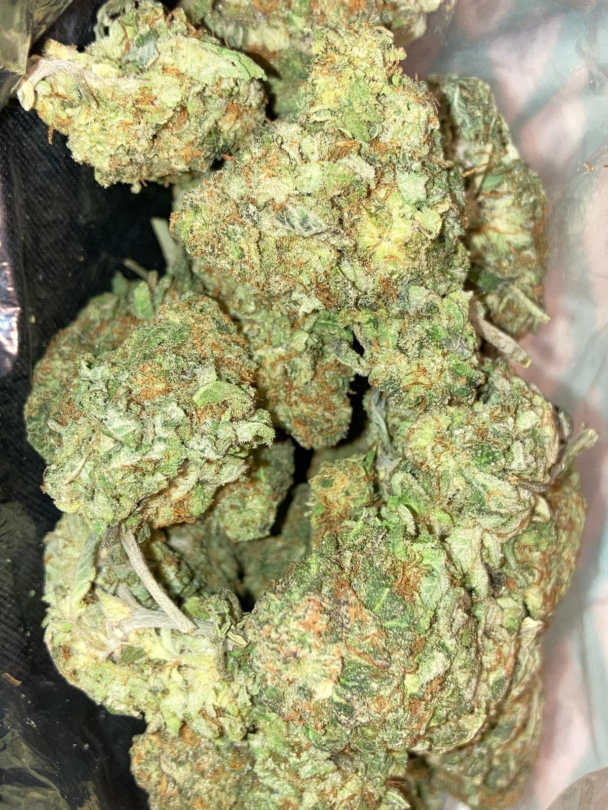 Pussy Kush
