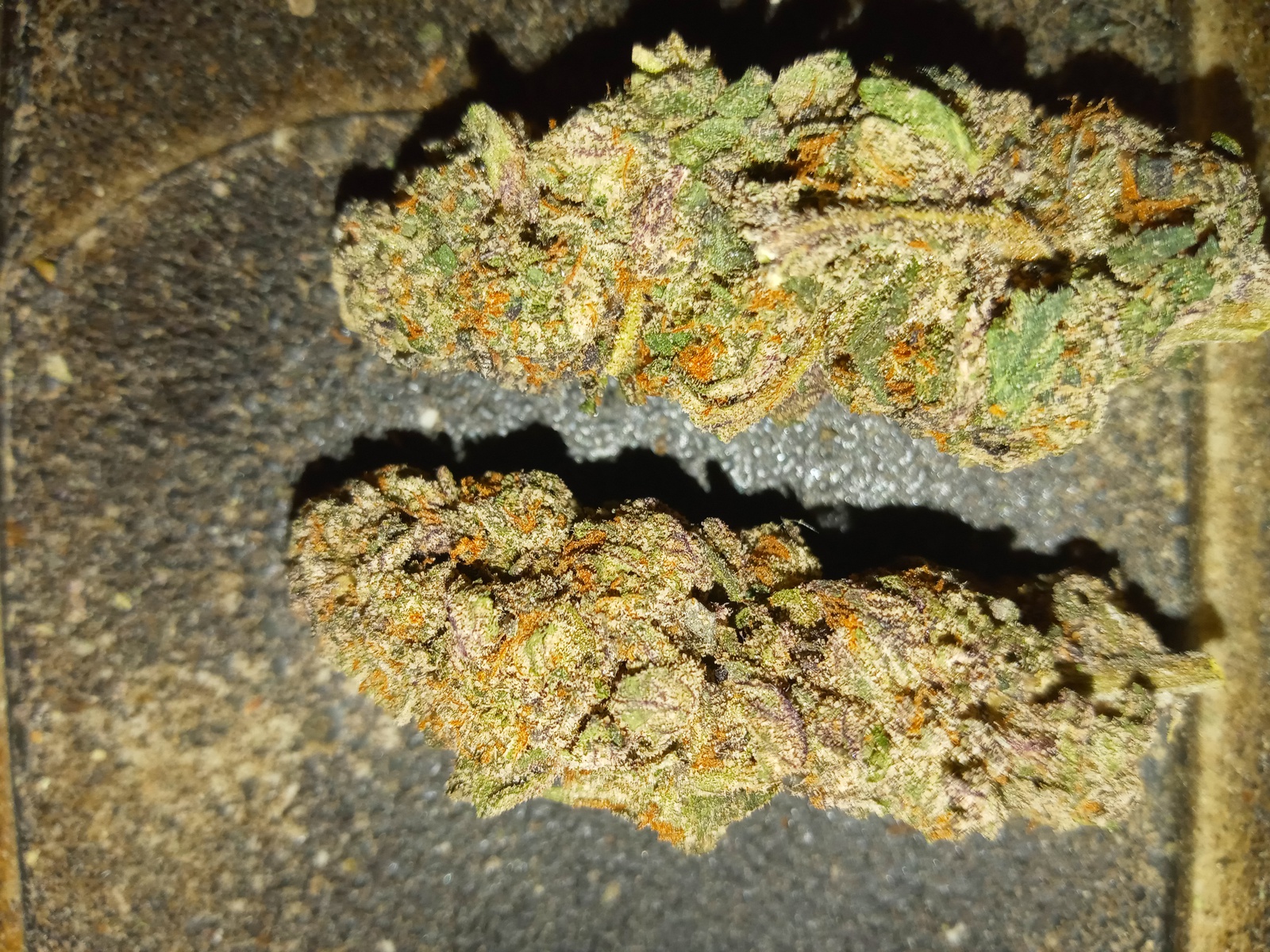 Rainbow Cookies