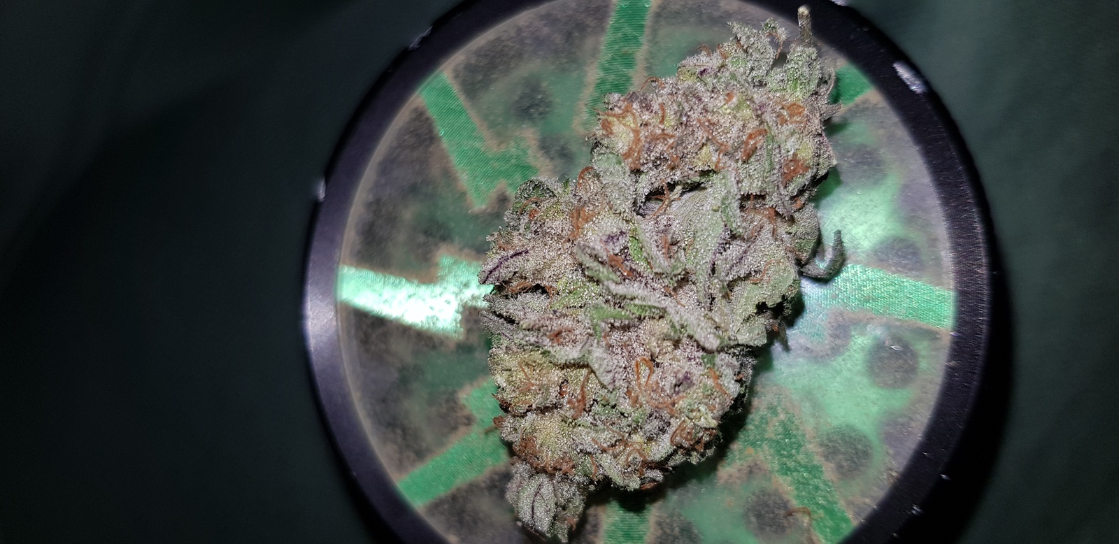 Rainbow Jones