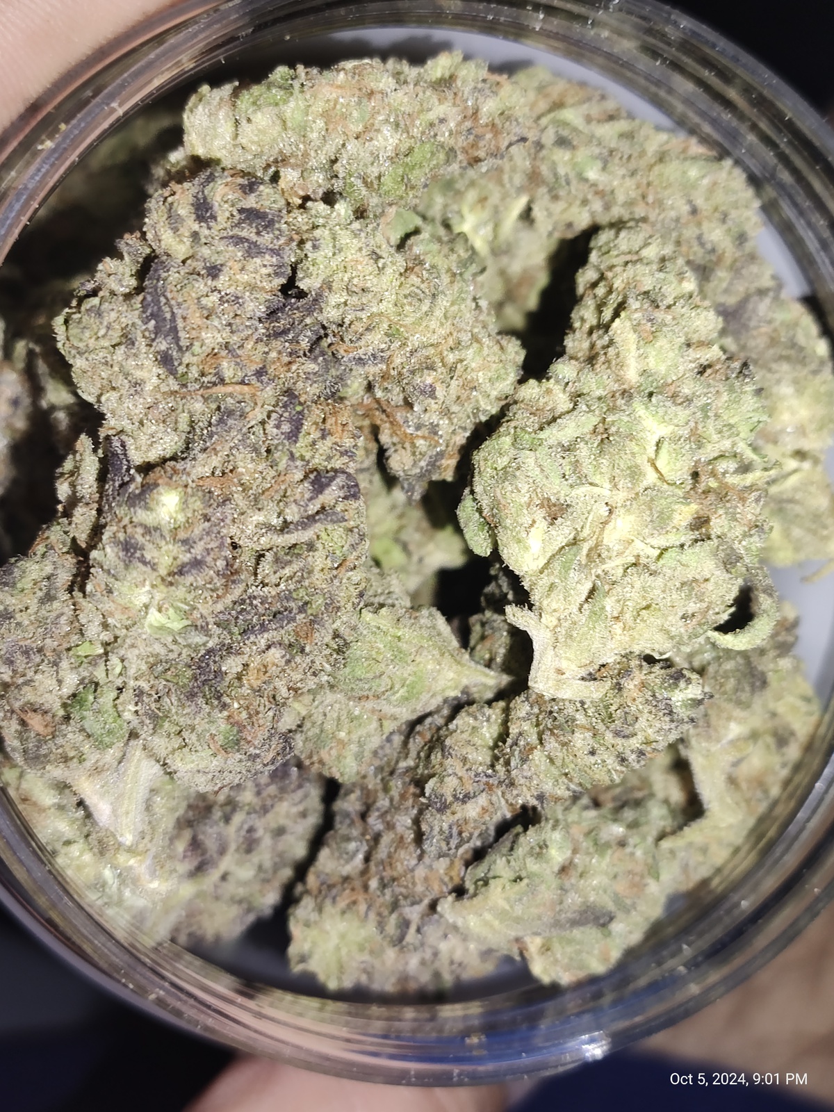 Rainbow Kush