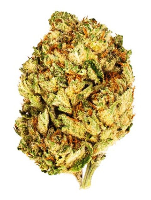 Rapper Kush