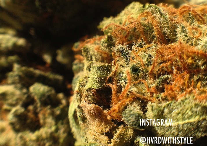 Red Headed Stranger