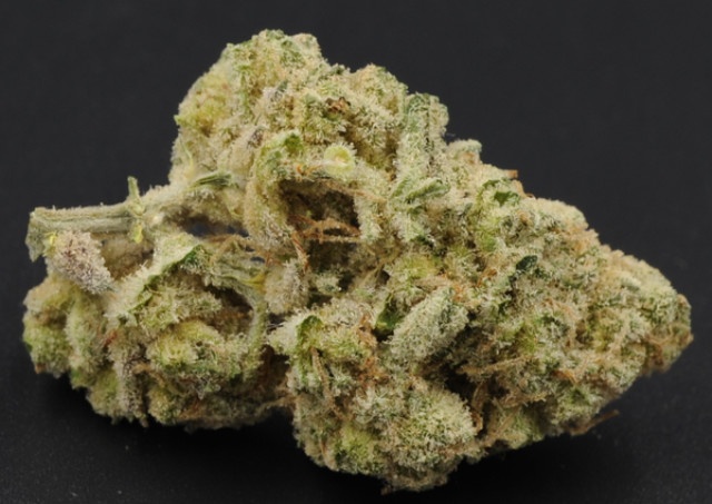 Revolution Kush One