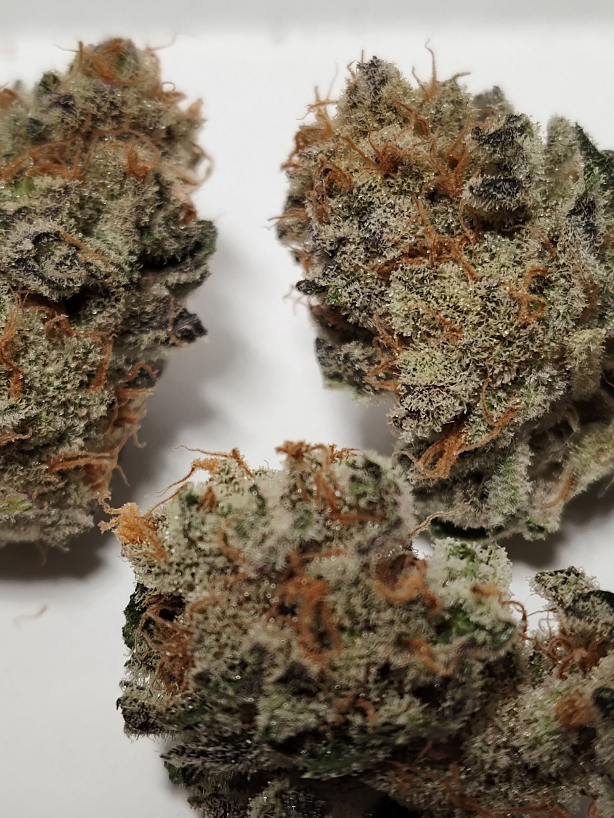 Root Beer Kush