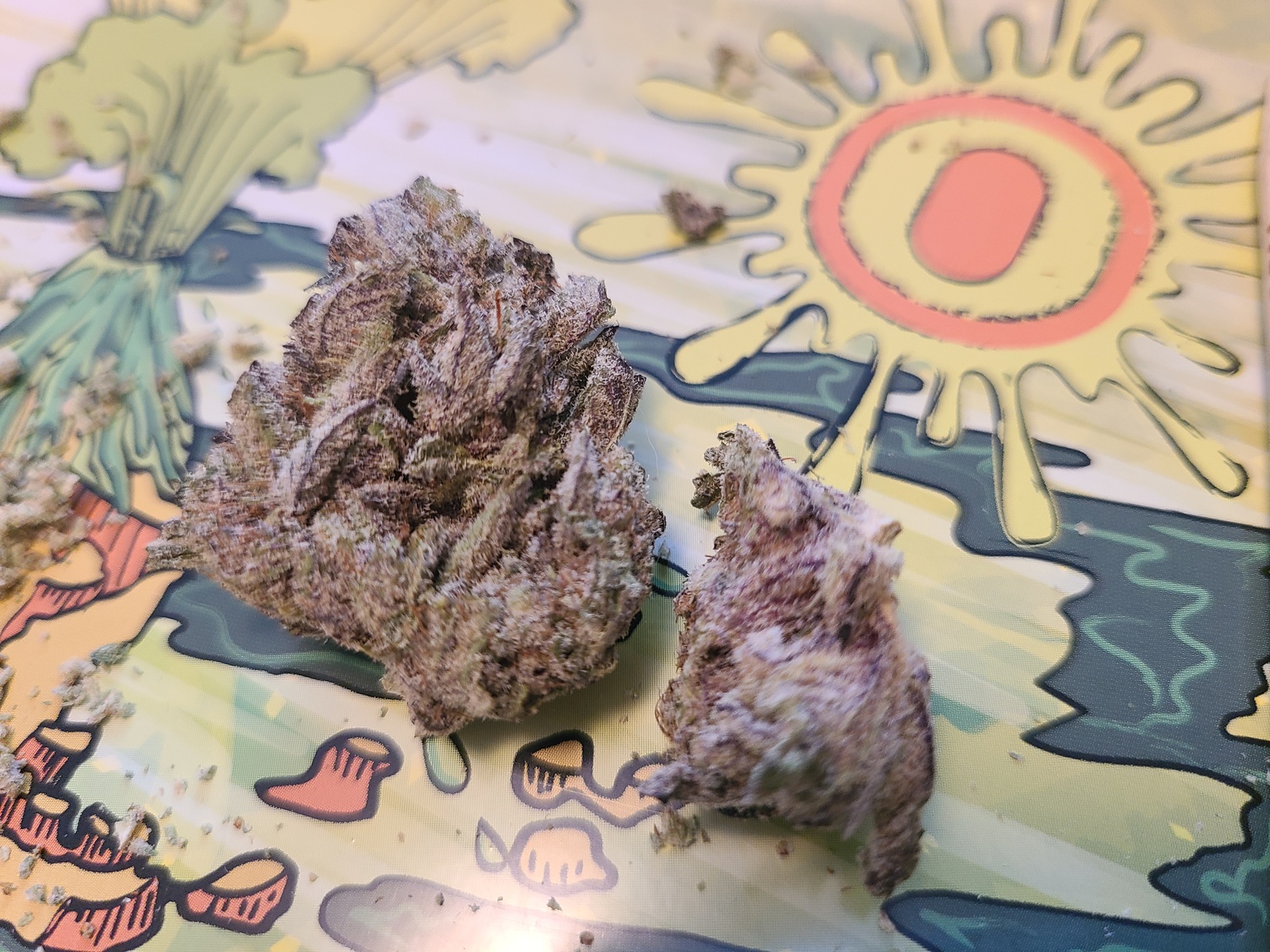 Royal Tree Sherbet