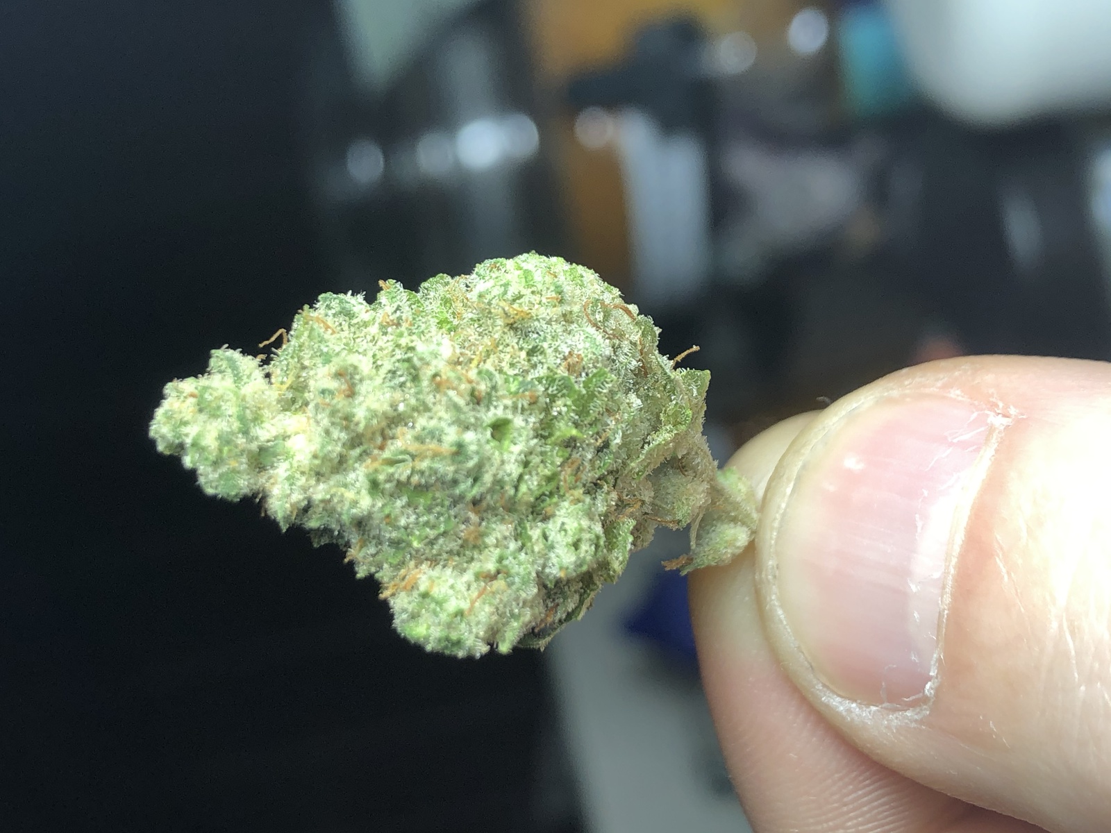 Sabotage Og