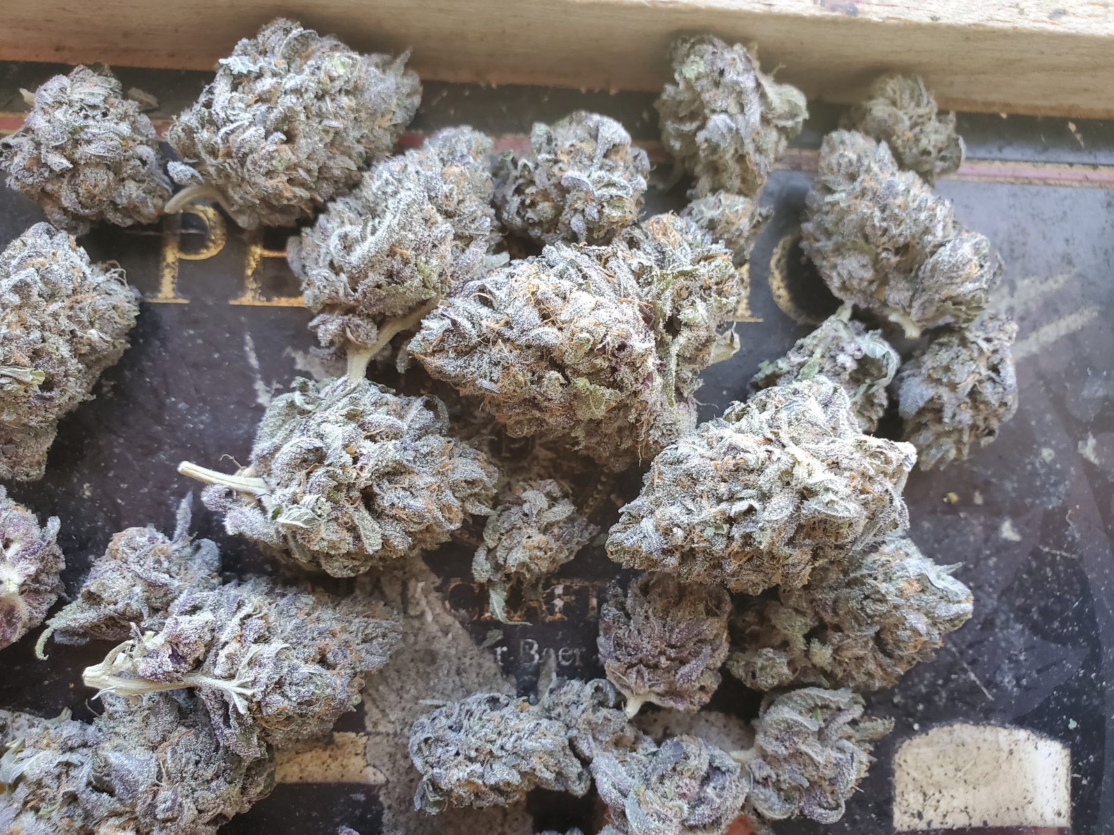 Salmon River OG