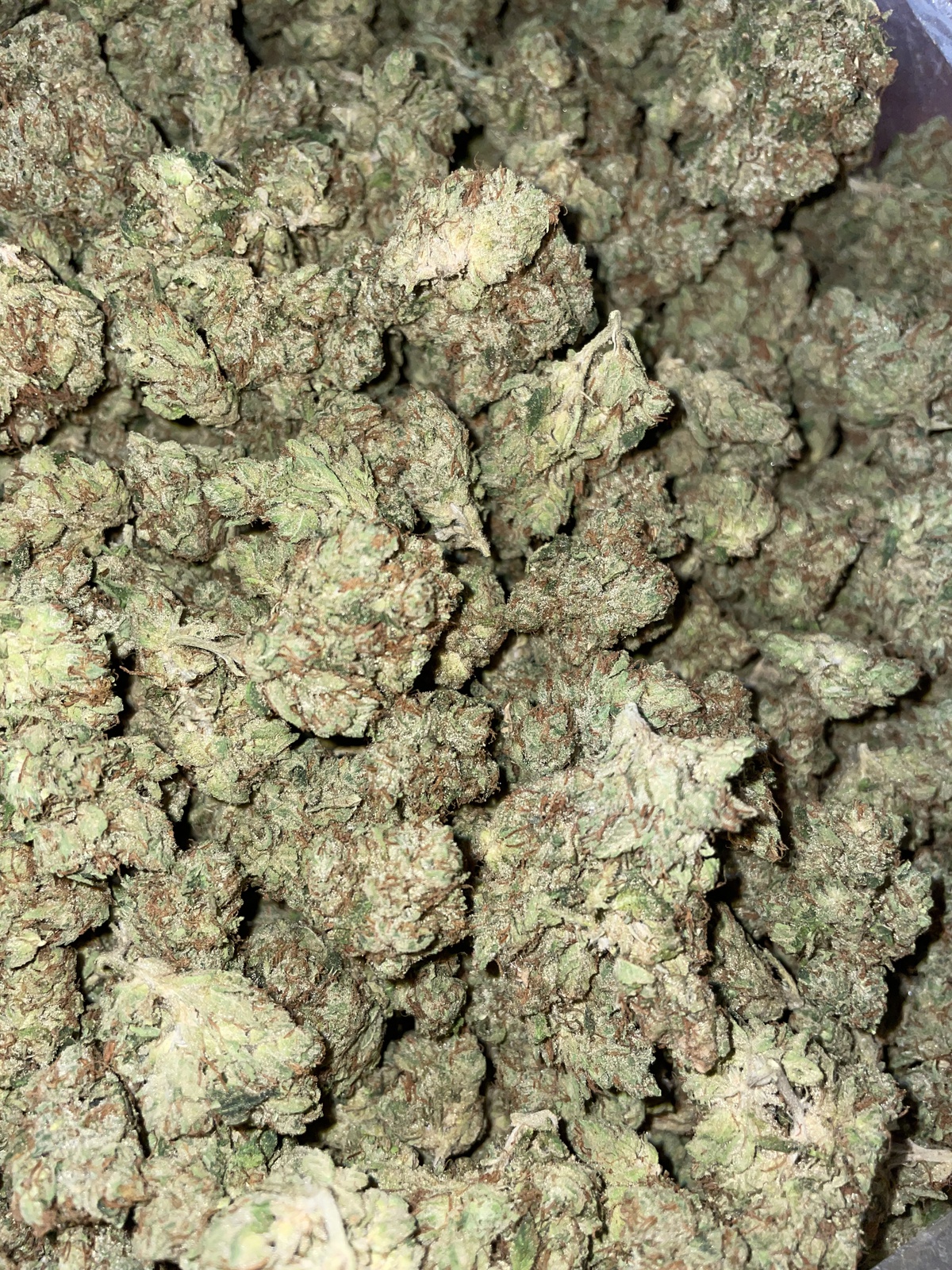 Satellite OG