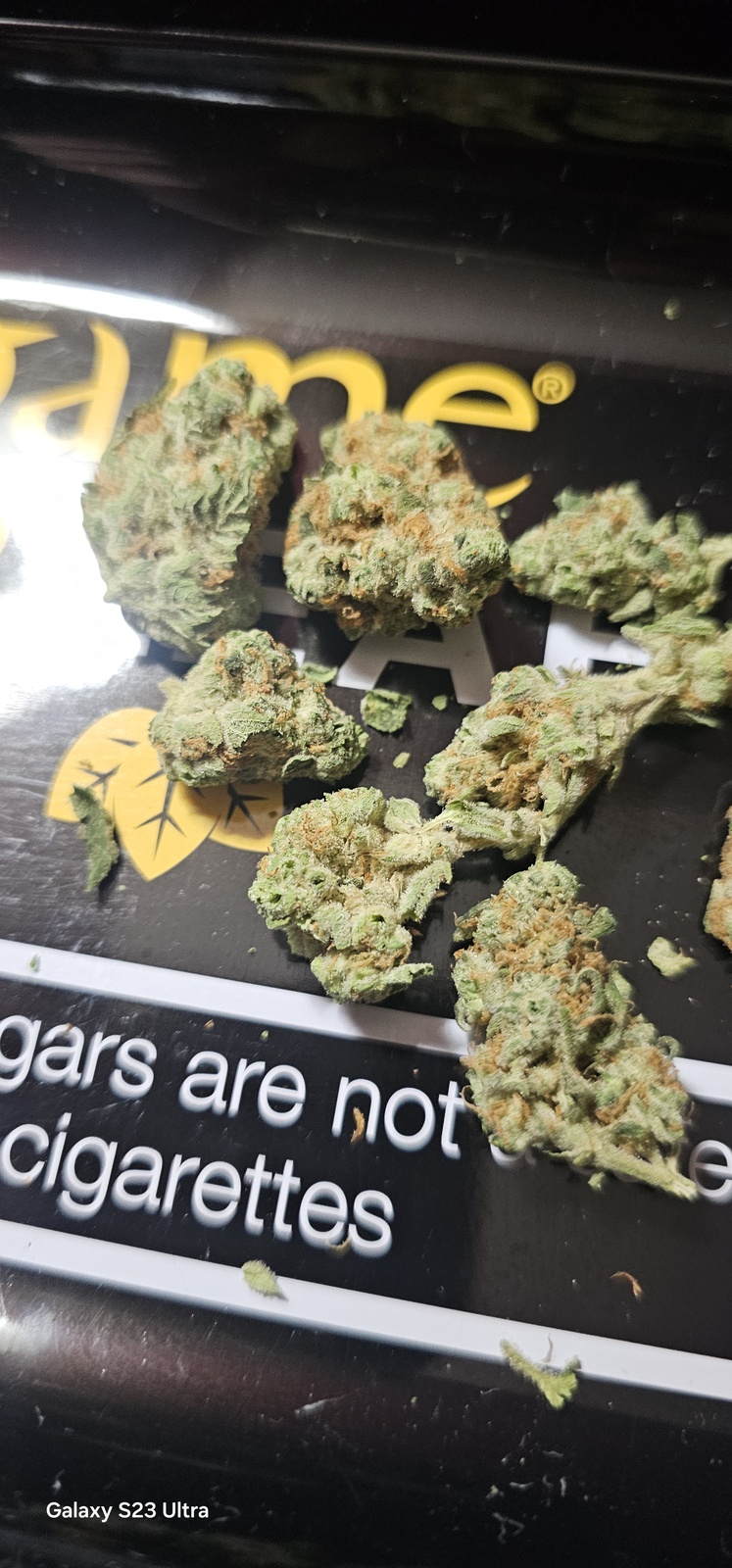 Scout Breath