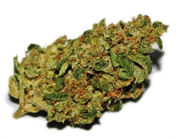 Screamin OG