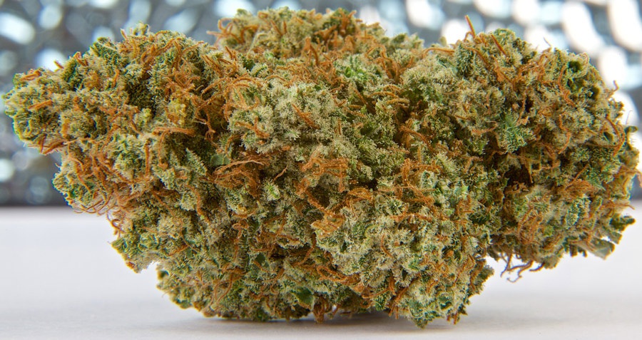 Seattle Haze