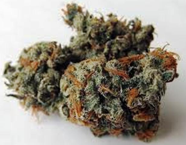 Sharksbreath