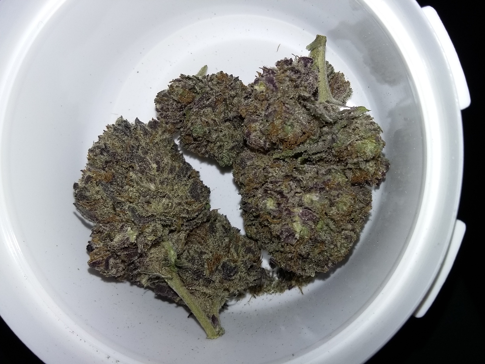 Sherbert