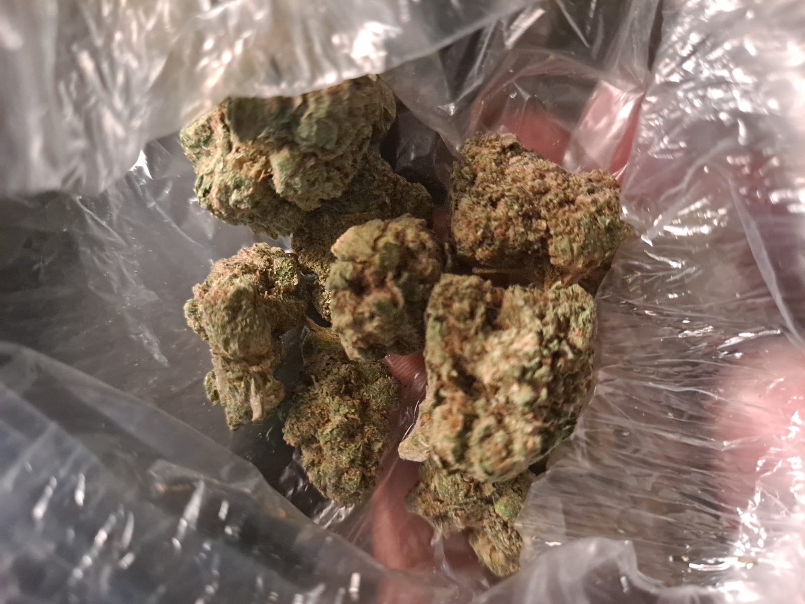 Sin Valley OG