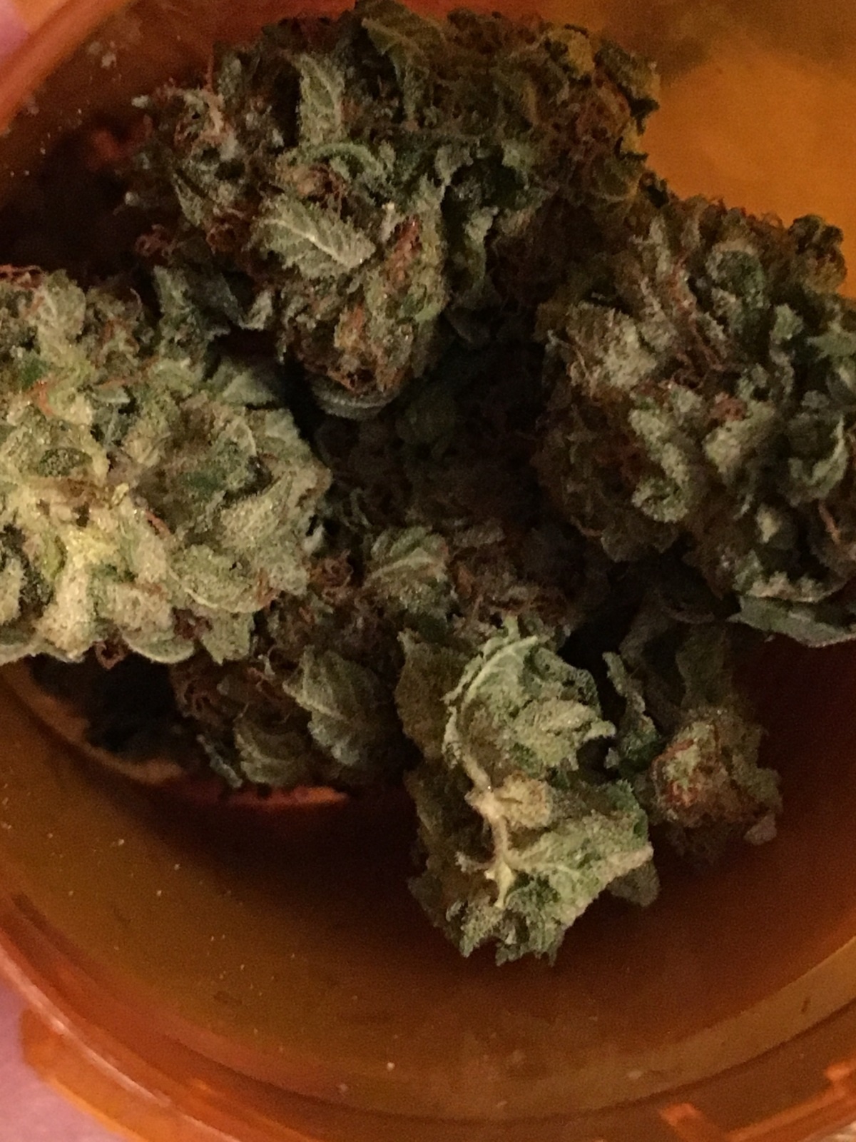 Skunk 47