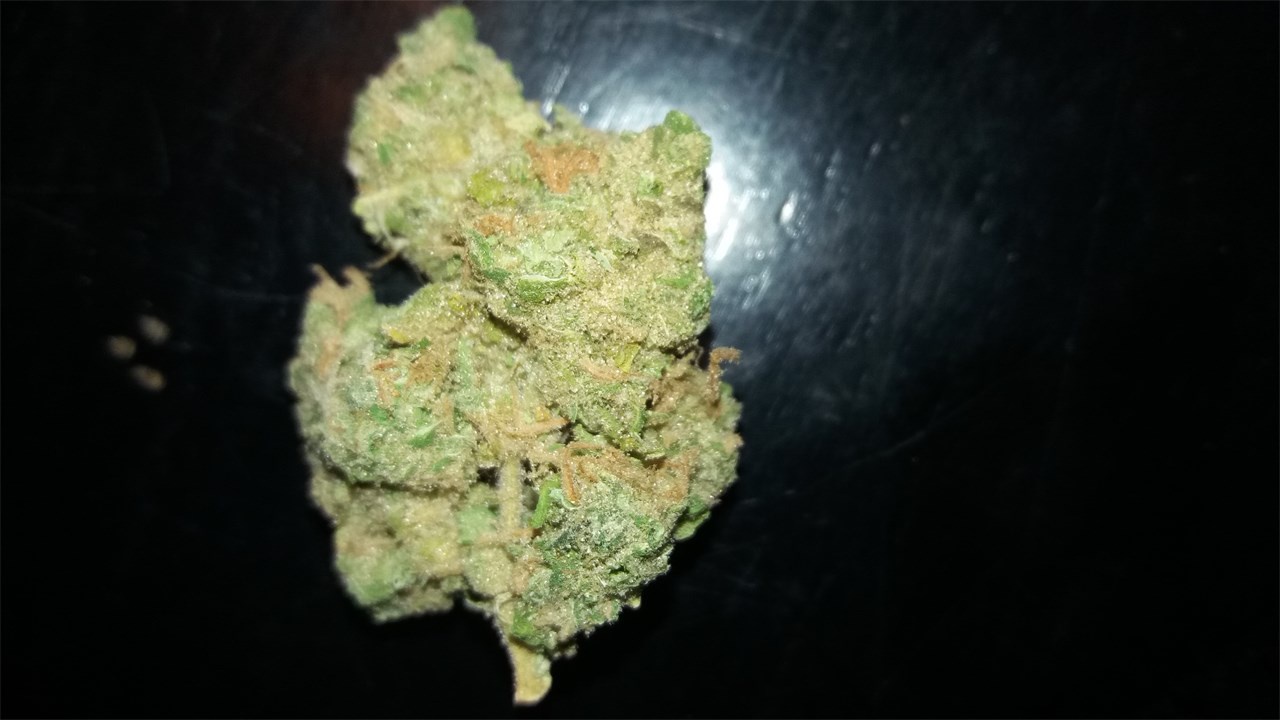 skunk dawg