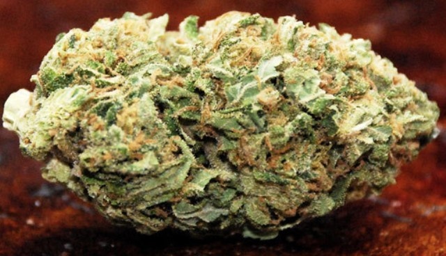Skunk No. 1
