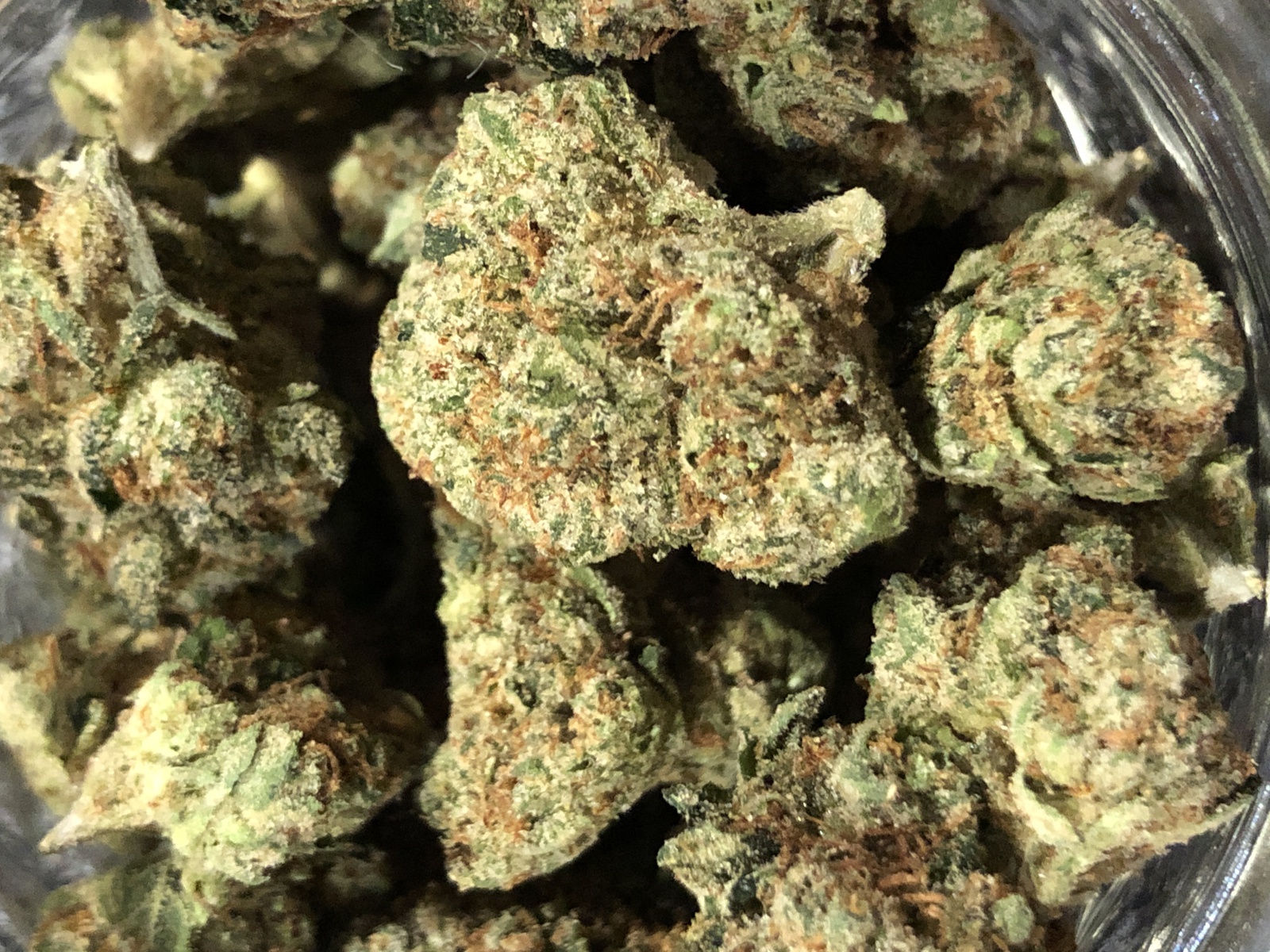 Skywalker 600