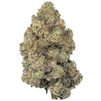 Slurricane IX