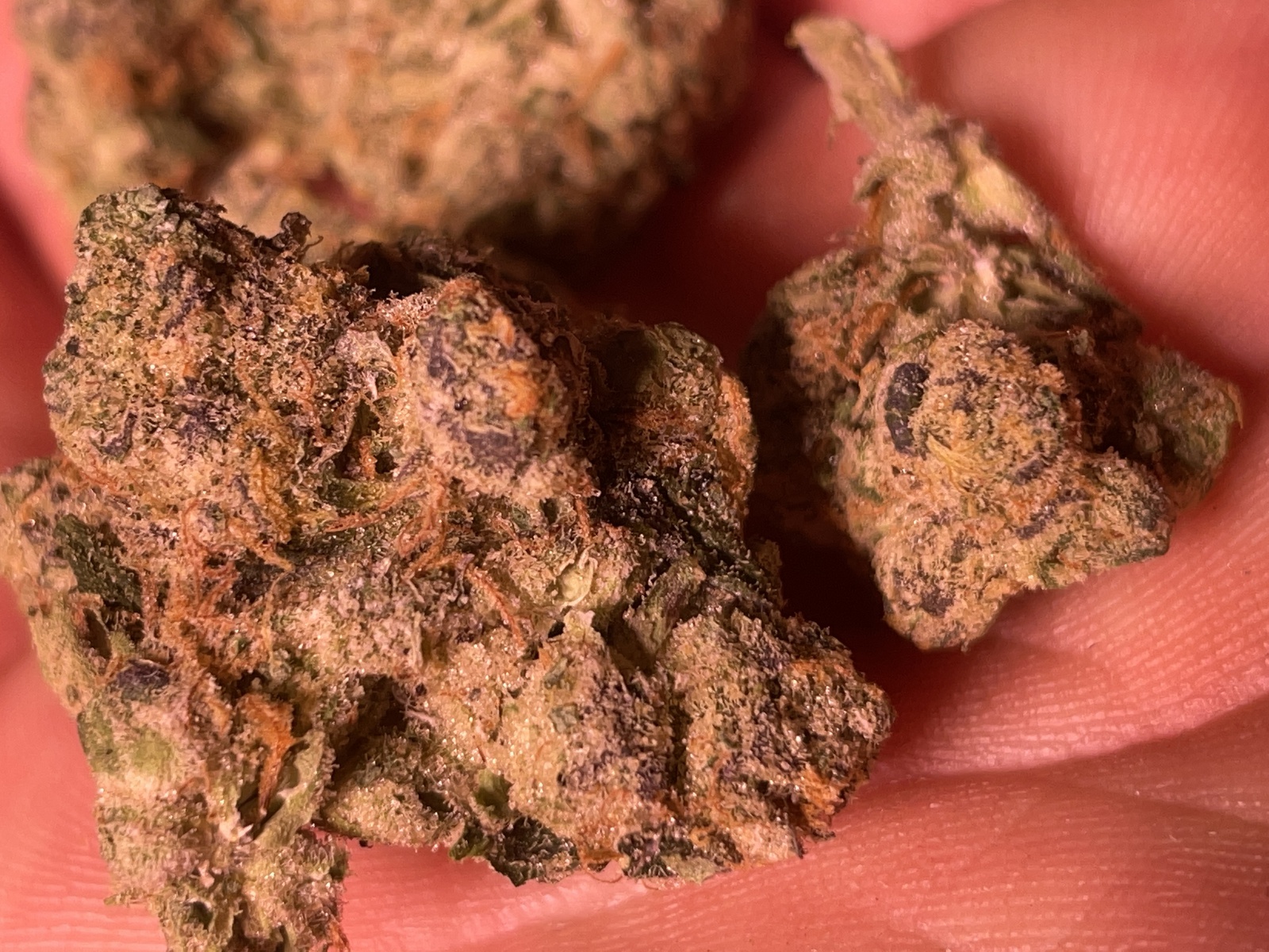 SoCal Kerosene