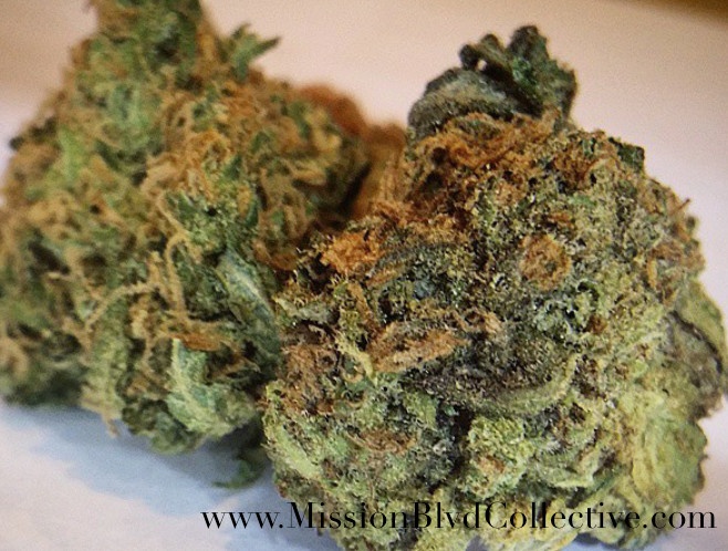 Soul Assassin OG