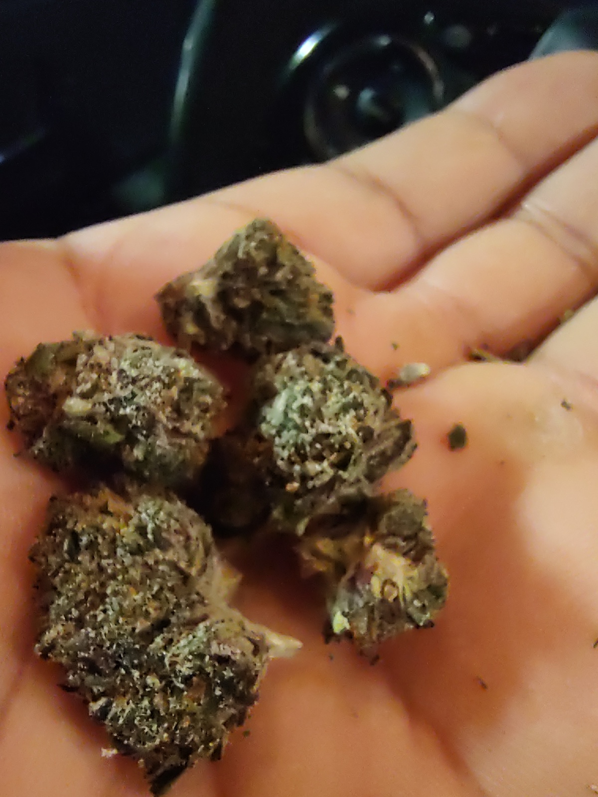 Sour Amnesia