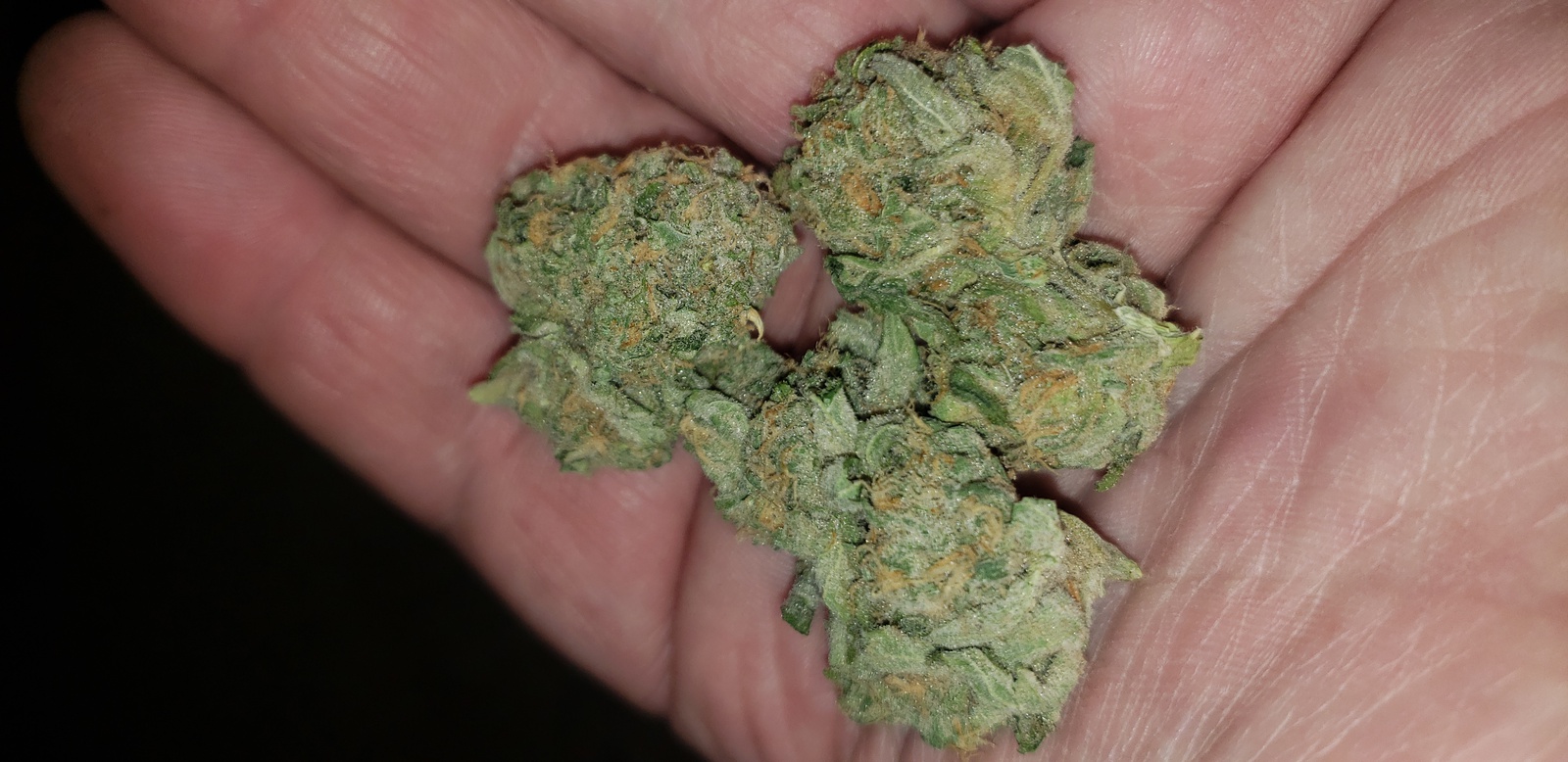 Sour Banana