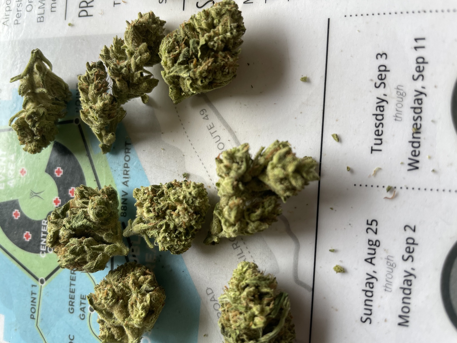 Sour Berry