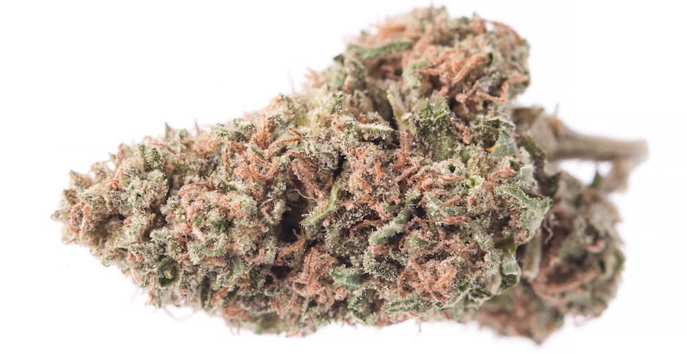 Sour Blackberry