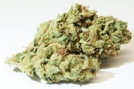 Sour Blue Glue